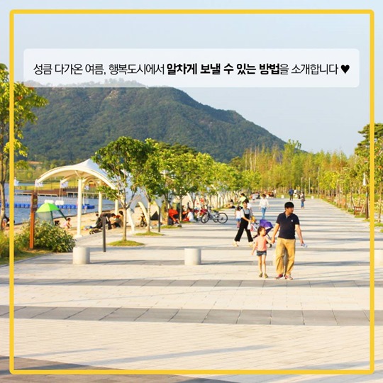 행복도시에서 여름을 알차게 보내는 방법