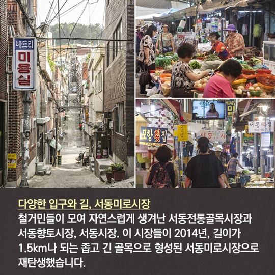 부산 서동미로시장 명물 ‘계란만두’, 들어는 봤니?