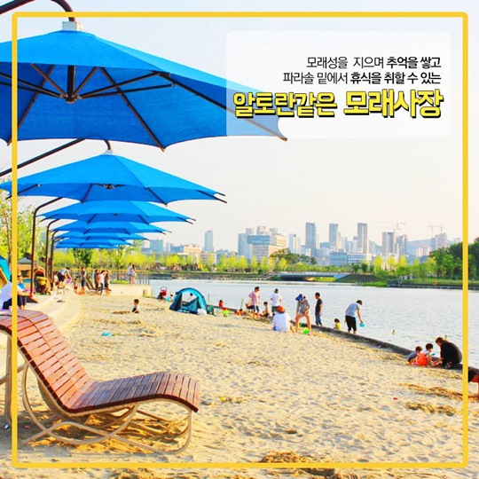 행복도시에서 여름을 알차게 보내는 방법