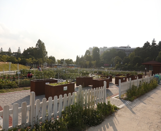 전북대학교 캠퍼스 텃밭