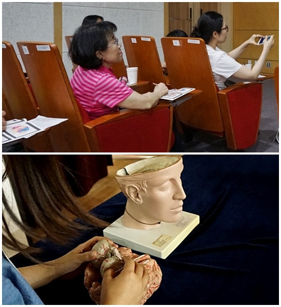 (상)열심히 필기를 하고 사진을 찍는 관람객들 (하) 직접 뇌모형을 만져 보는 아이