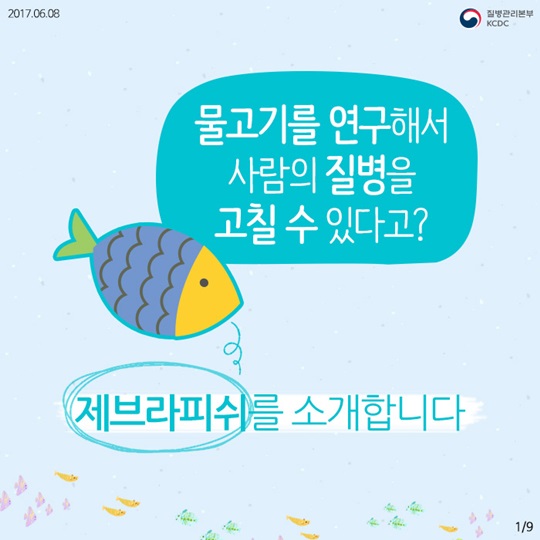 물고기를 연구해서 사람의 질병을 고칠수 있다고요