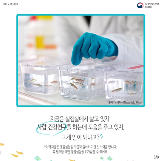 물고기를 연구해서 사람의 질병을 고칠수 있다고요