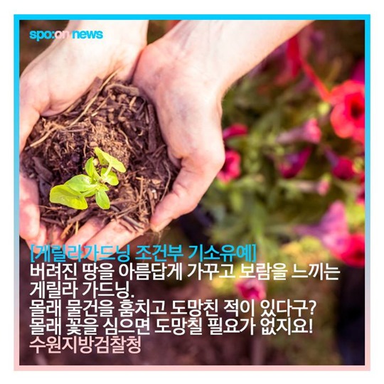 거절할 수 없는 조건