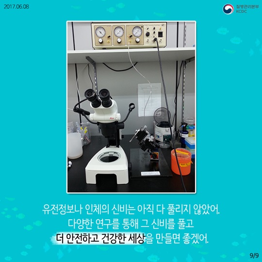 물고기를 연구해서 사람의 질병을 고칠수 있다고요