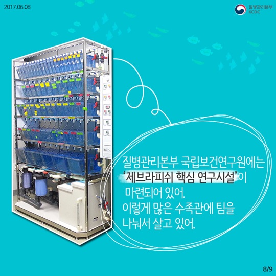 물고기를 연구해서 사람의 질병을 고칠수 있다고요