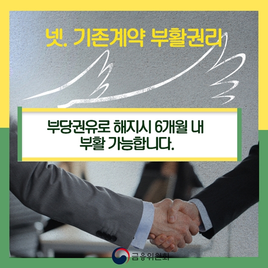 보험가입자가 반드시 알아둘 5대 권리