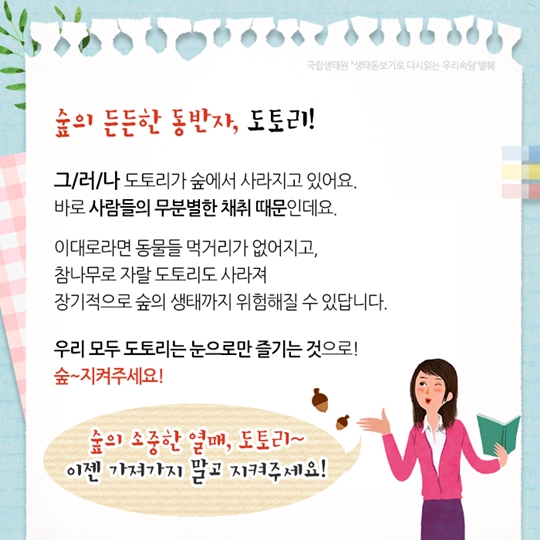 도토리 키재기, 알고 보면 더 재밌는 나우 속담