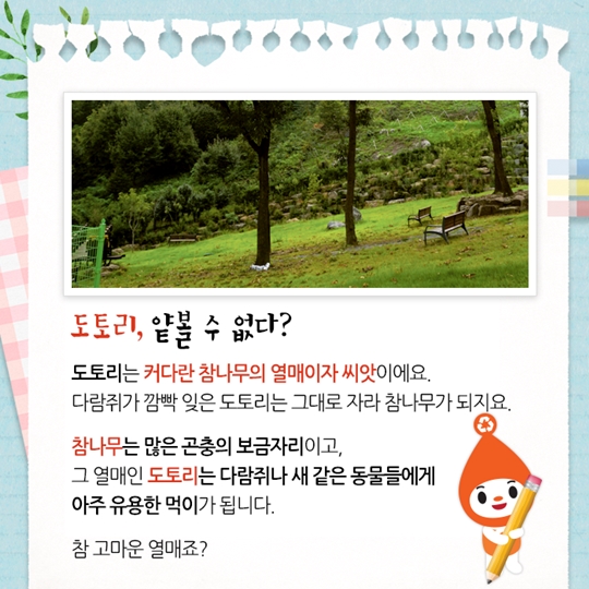 도토리 키재기, 알고 보면 더 재밌는 나우 속담