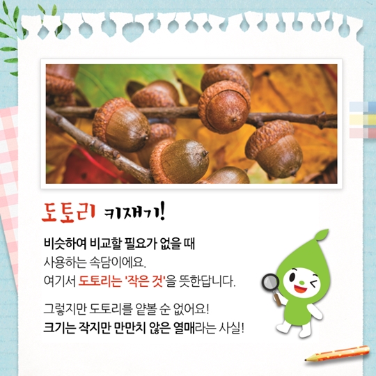 도토리 키재기, 알고 보면 더 재밌는 나우 속담
