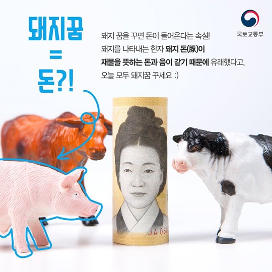 한국에만 있는 속설