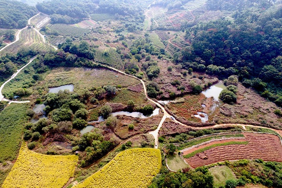 경북 문경시 산북면 굴봉산에 있는 국내 유일의 돌리네 습지. 돌리네는 석회암이 빗물이나 지하수에 녹아 침식돼 접시 모양으로 움푹 팬 웅덩이(사진=저작권자(c) 연합뉴스, 무단 전재-재배포 금지)다.