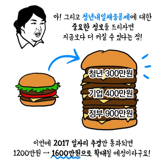 청년정책