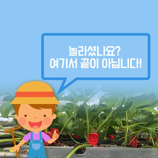손가락으로 농사짓는 시대