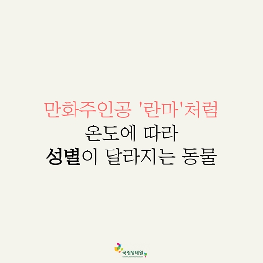 재미있는 동물 이야기