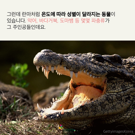 재미있는 동물 이야기