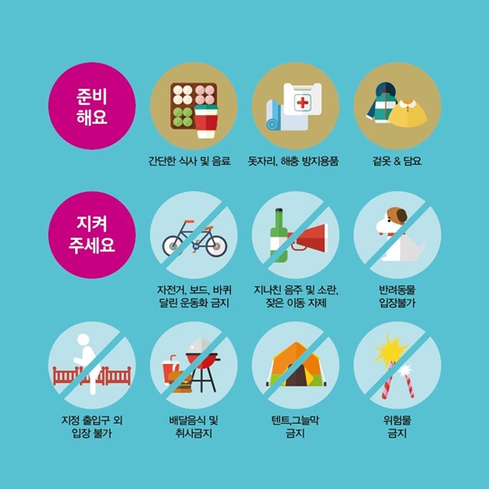 우면산 별밤축제