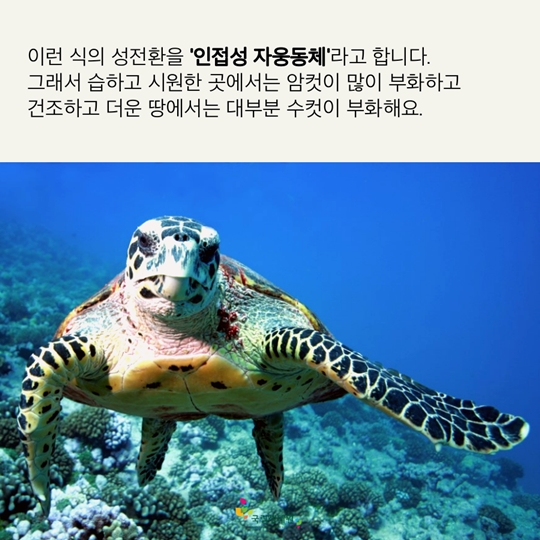 재미있는 동물 이야기