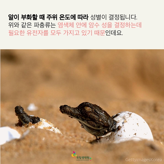 사진의온도 이미지