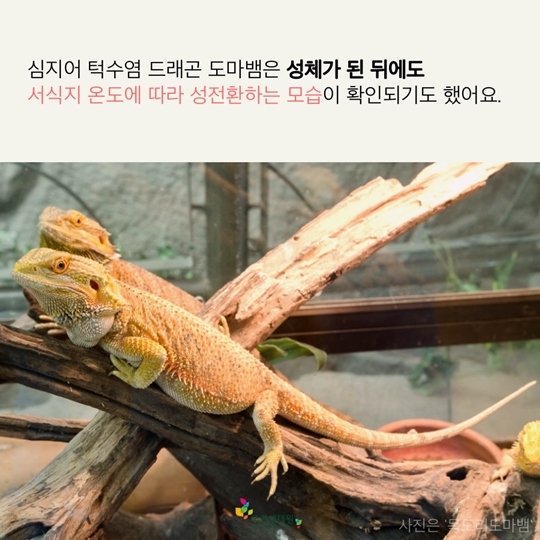 재미있는 동물 이야기