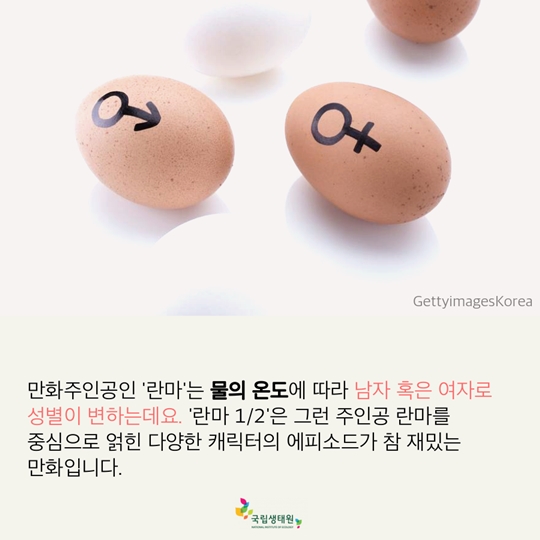 재미있는 동물 이야기