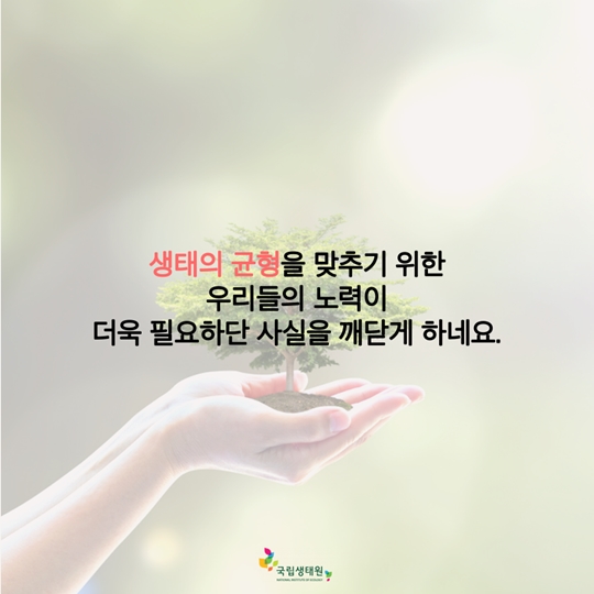 재미있는 동물 이야기