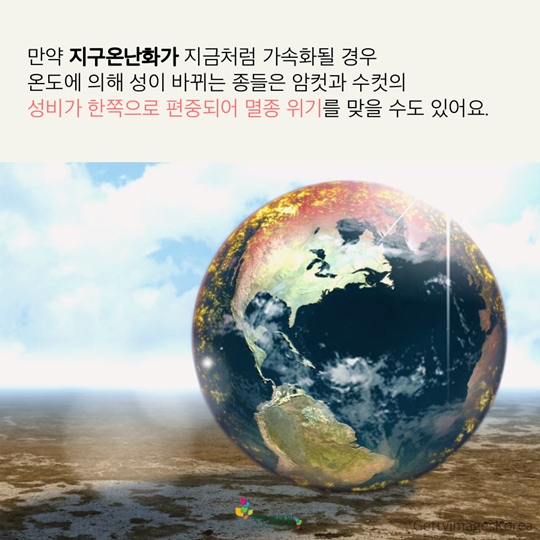 재미있는 동물 이야기