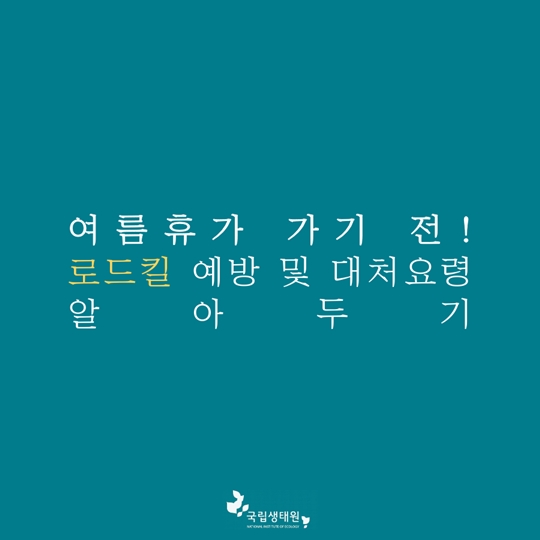 여름휴가 가기 전 로드킬 예방 및 대처요령 알아두기