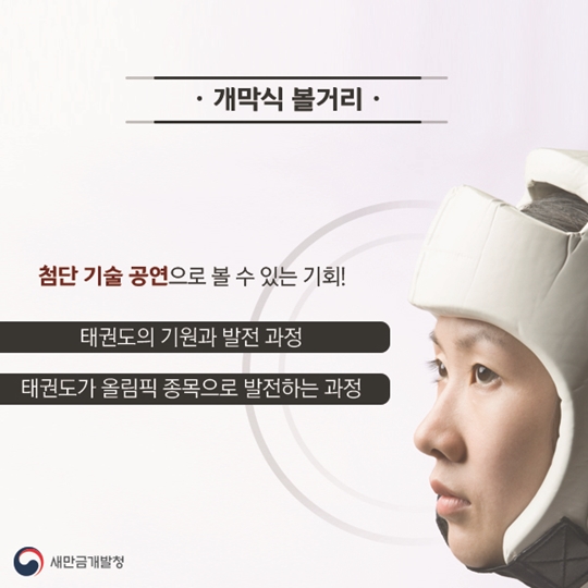 세계태권도선수권대회