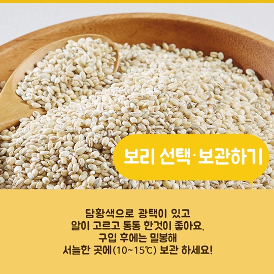 이달의 식재료 
