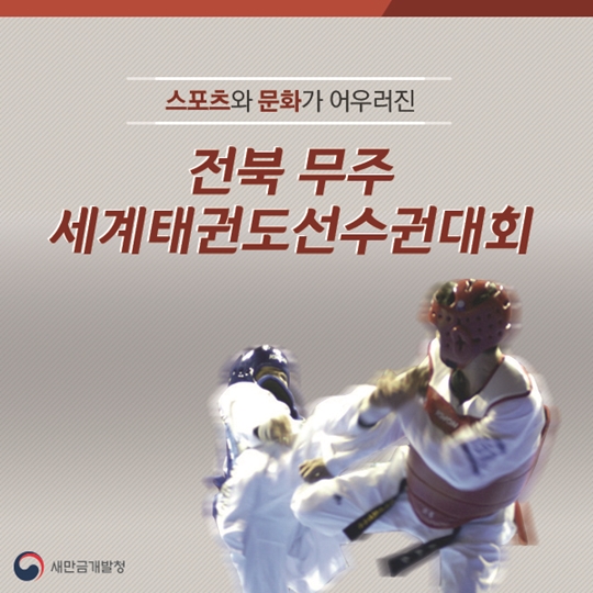 세계태권도선수권대회