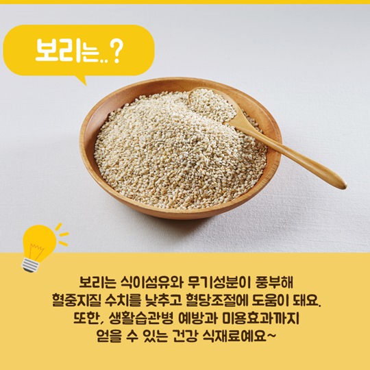 이달의 식재료 