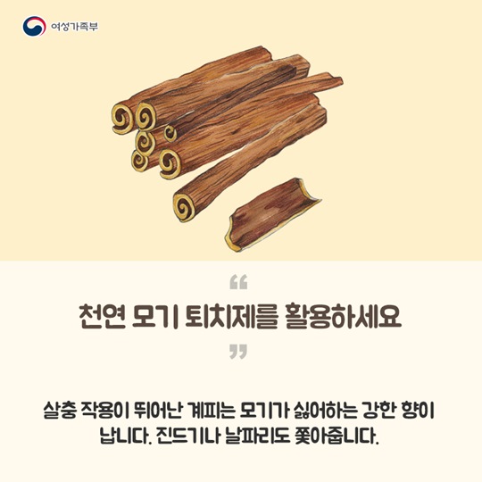 모기와의 전쟁