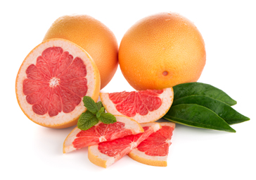 간 해독 관련 이미지(정책브리핑 첨부 이미지)