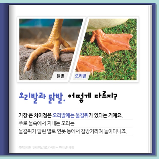 우리말 속담