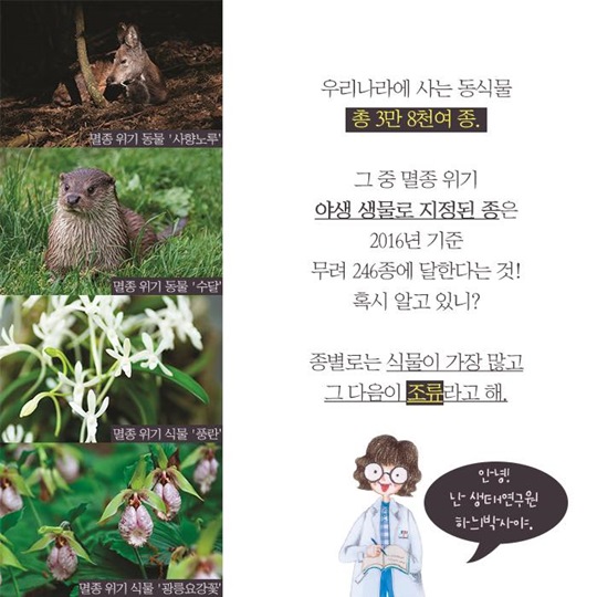 멸종위기