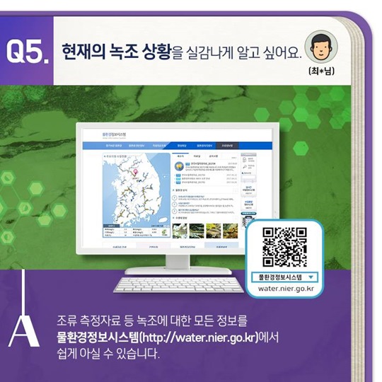 녹조, 무엇이 궁금하세요?