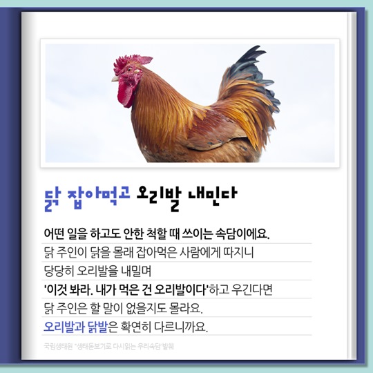 우리말 속담