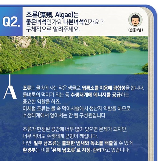 녹조, 무엇이 궁금하세요?