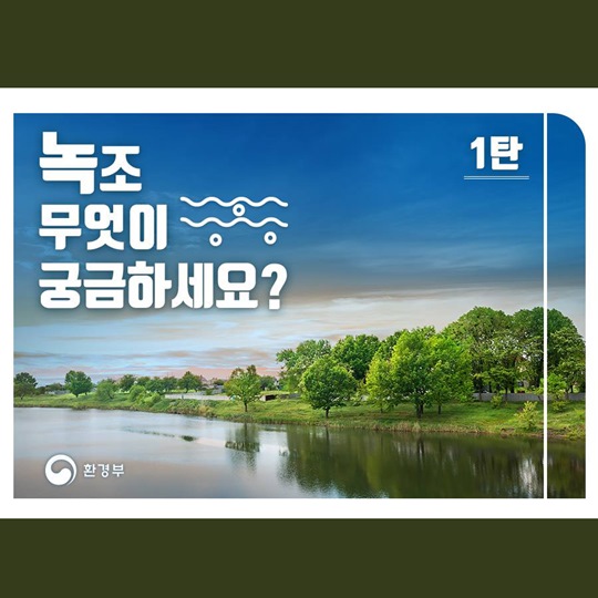 녹조, 무엇이 궁금하세요?