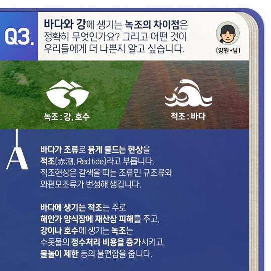 녹조, 무엇이 궁금하세요?