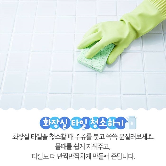 버리지말고 활용하세요
