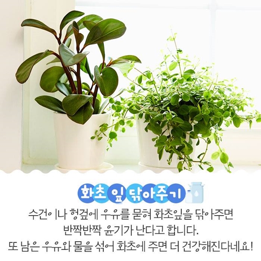 버리지말고 활용하세요