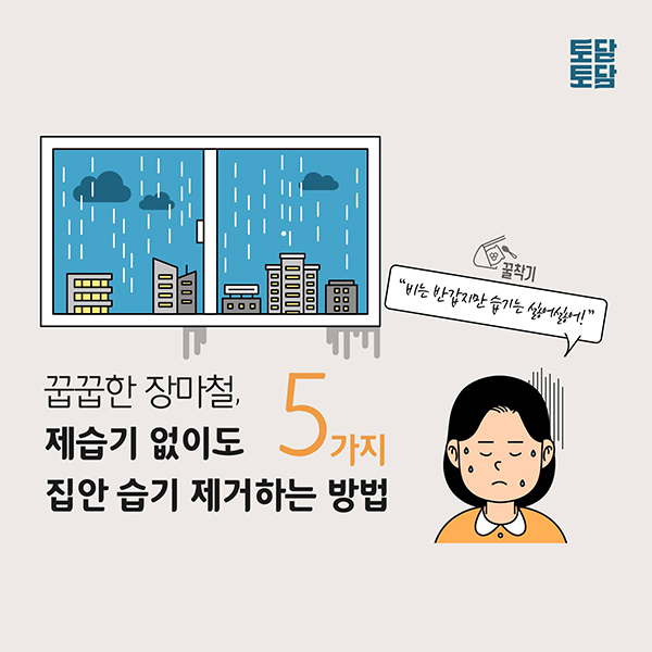 장마철 돈안들이고 제습효과 6