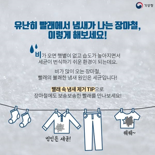 장마철에도 보송보송하게, 빨래 냄새 제거 TIP
