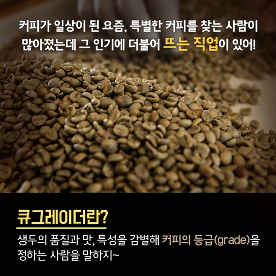 요즘 뜨는 특별한 직업 