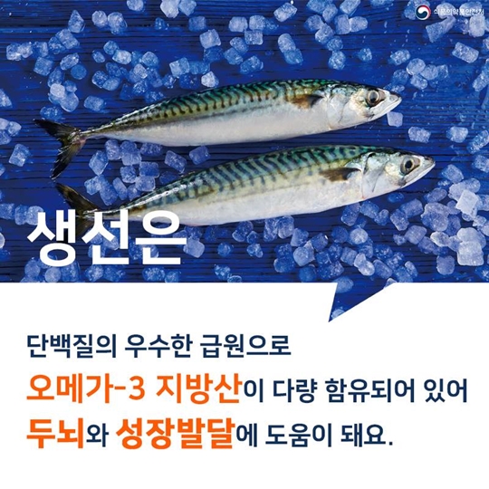 몸에 좋은 생선 알고 먹으면 더 좋아요