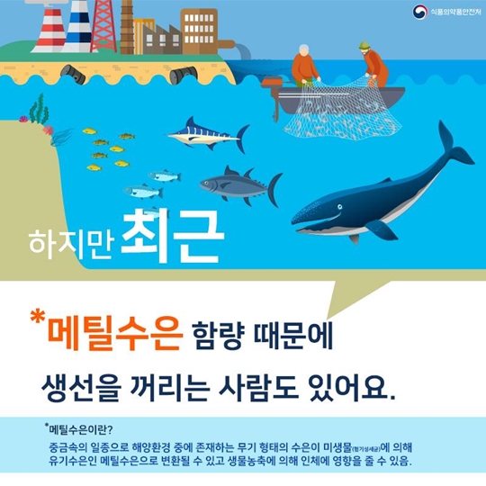 몸에 좋은 생선 알고 먹으면 더 좋아요