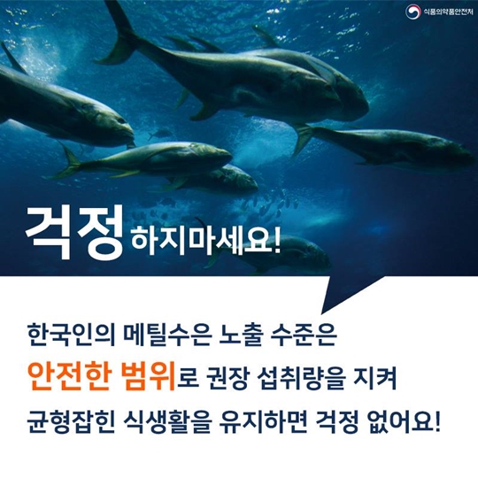 몸에 좋은 생선 알고 먹으면 더 좋아요