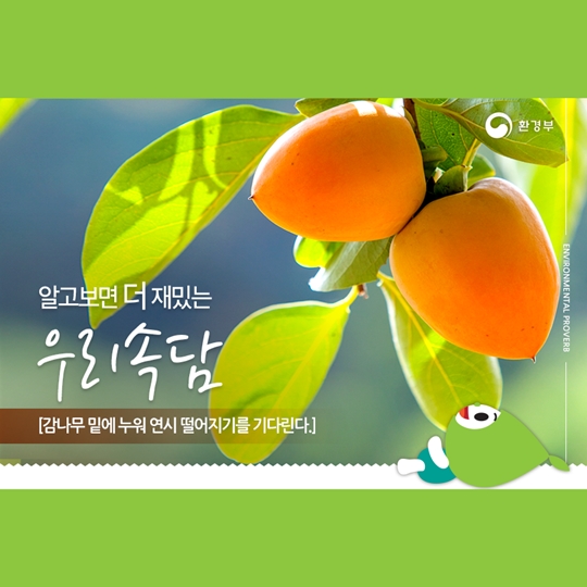알고보면 더 재미있는 우리 속담